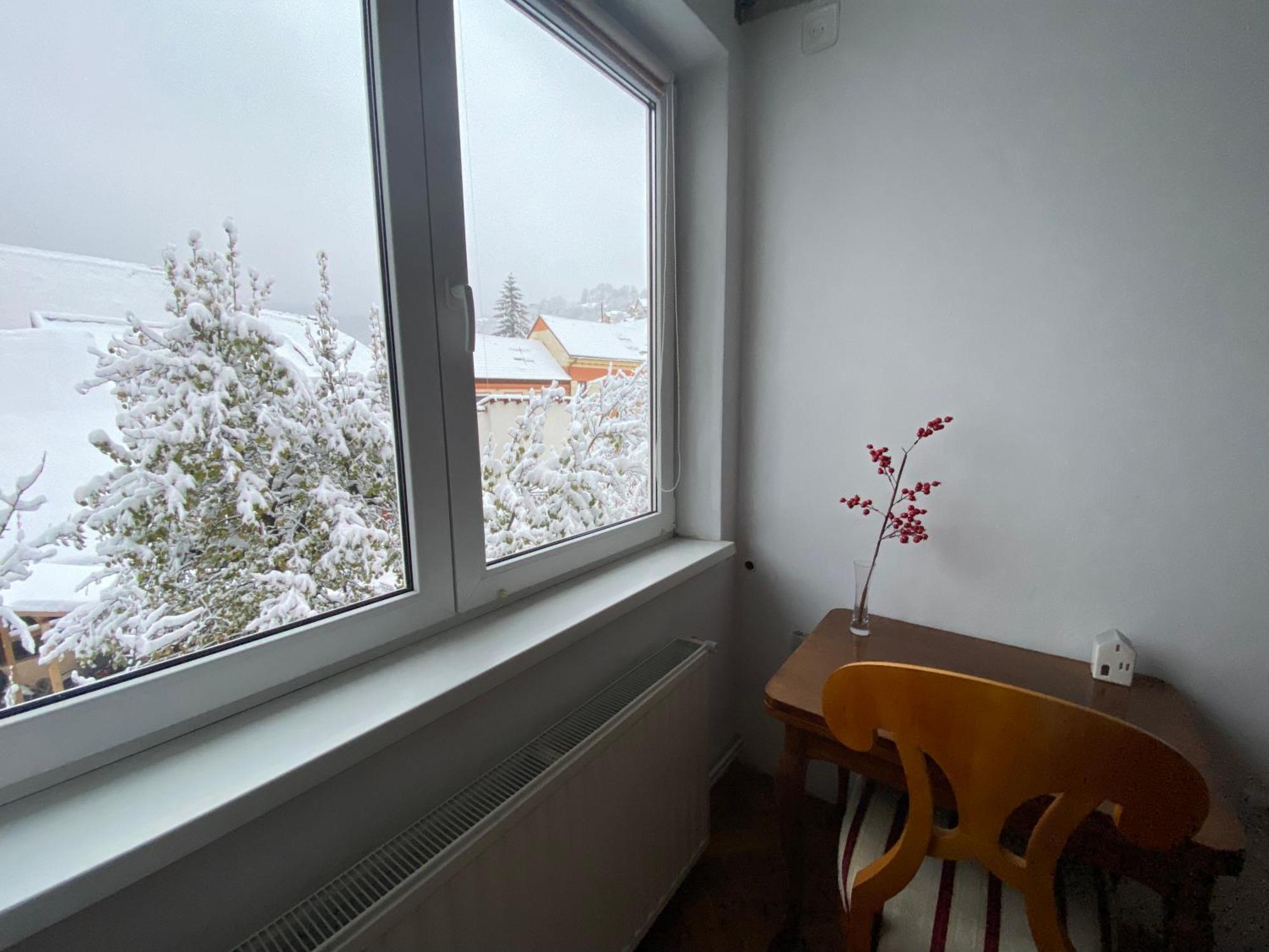Apartment Rose's Oldtown Brasov