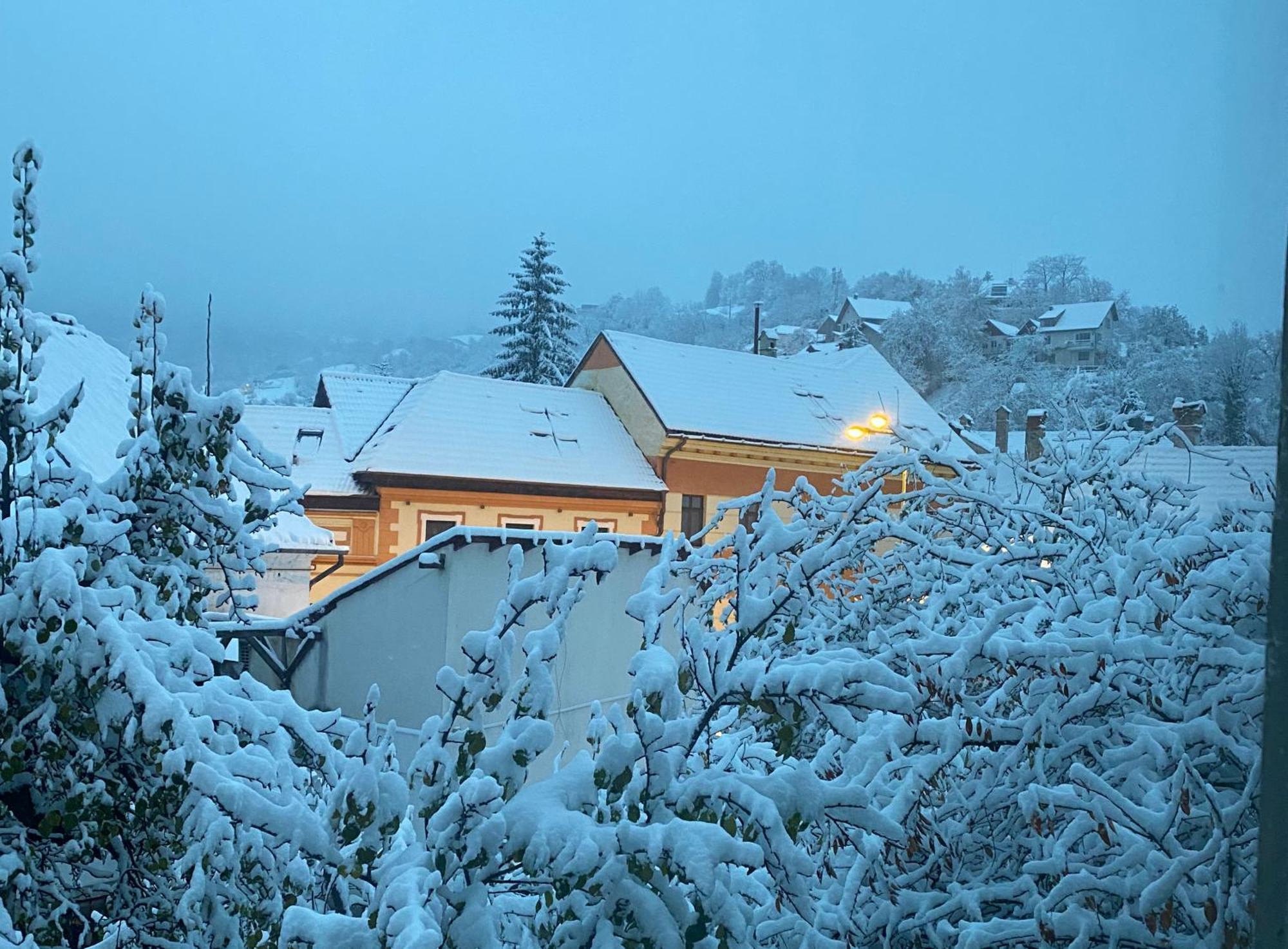 Rose's Oldtown Apartment Brasov