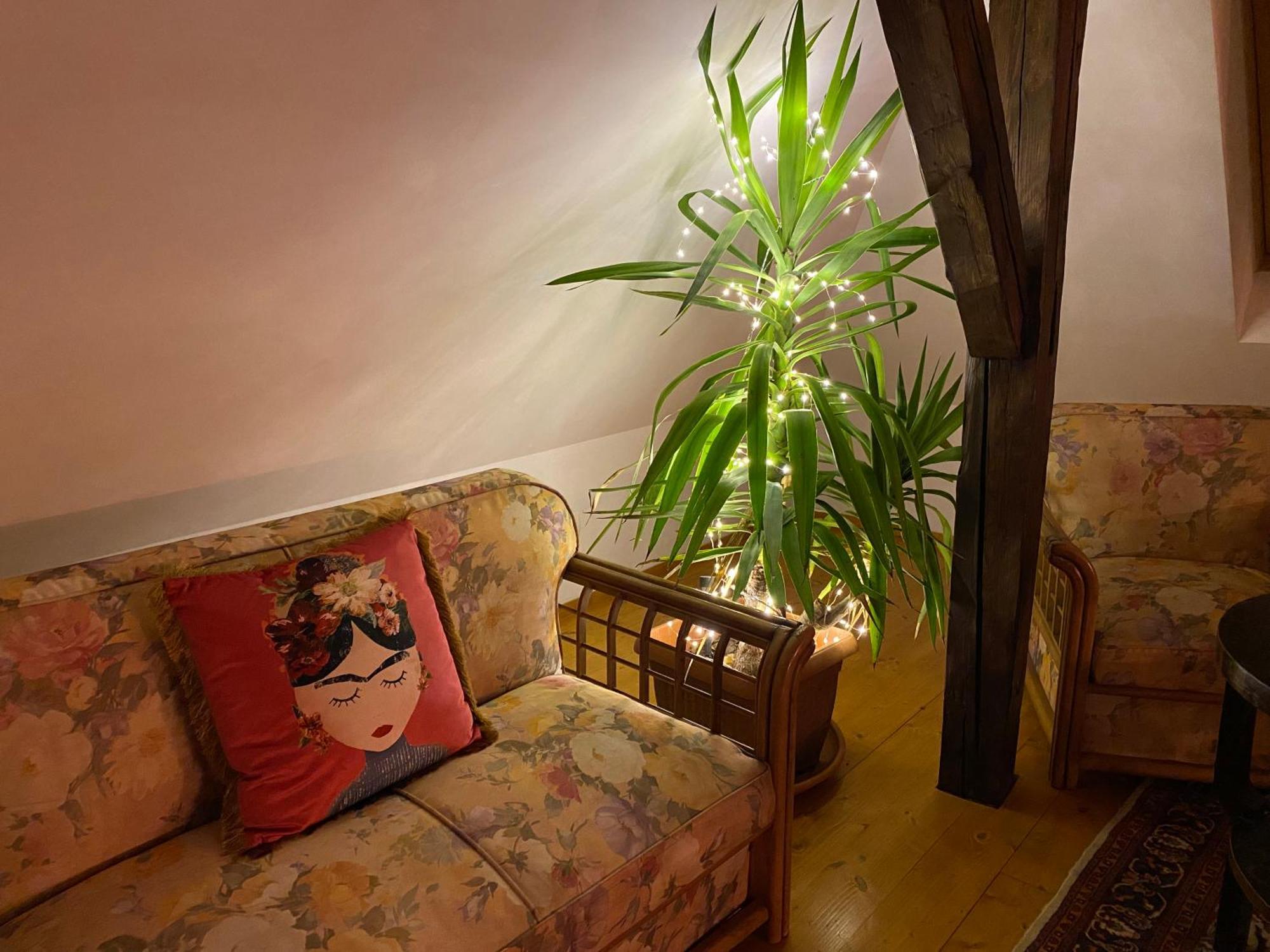 Rose's Oldtown Apartment *