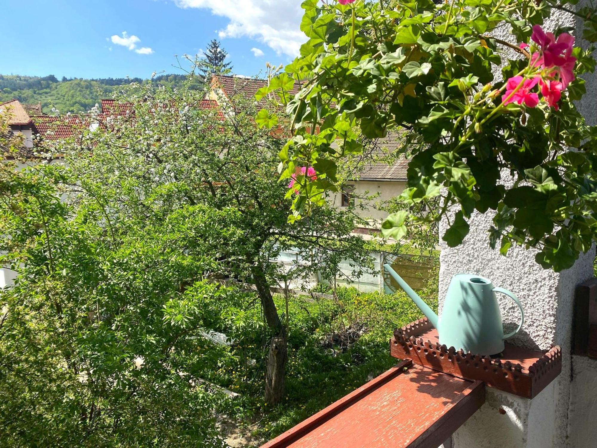Apartament Rose's Oldtown