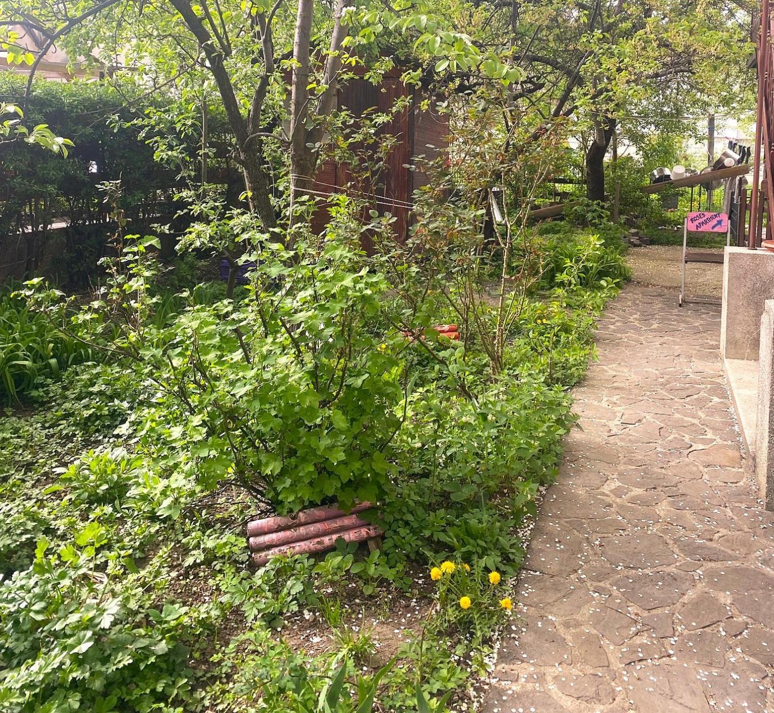 Apartament Rose's Oldtown Brașov