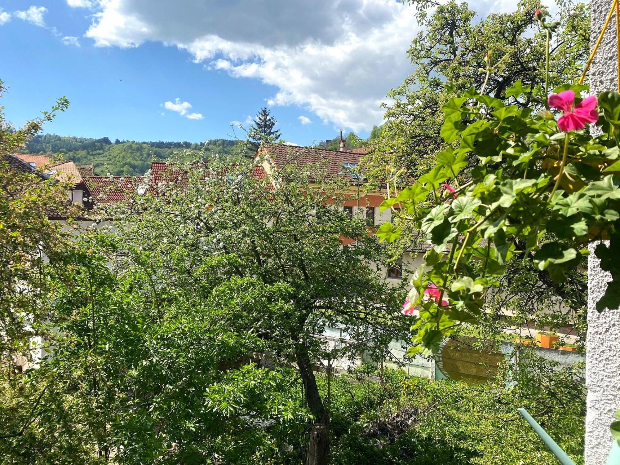 Apartment Rose's Oldtown